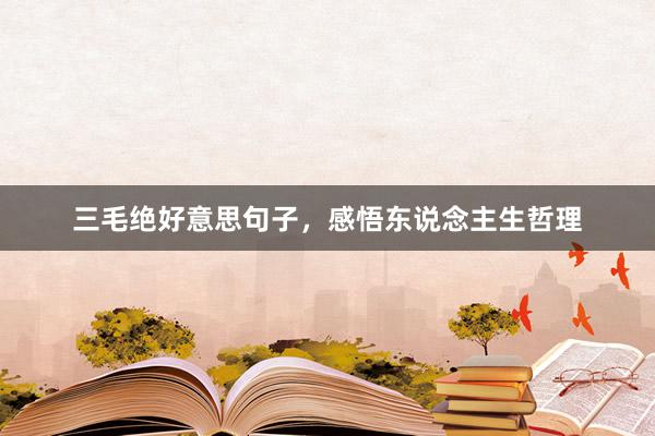 三毛绝好意思句子，感悟东说念主生哲理