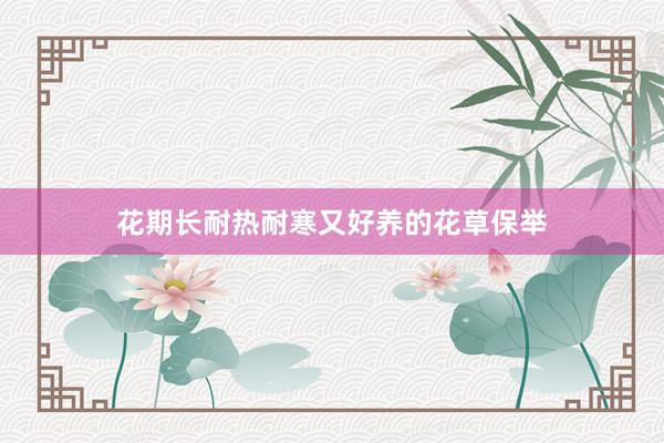 花期长耐热耐寒又好养的花草保举