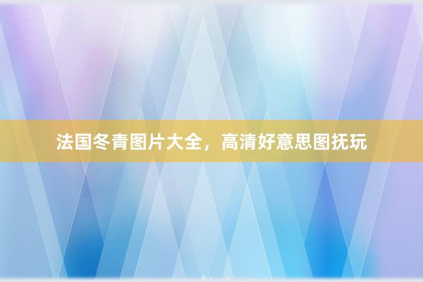 法国冬青图片大全，高清好意思图抚玩