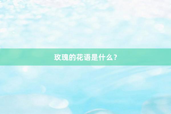 玫瑰的花语是什么？