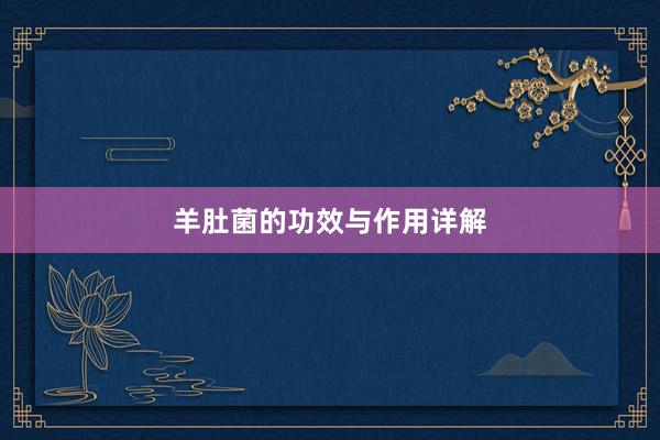 羊肚菌的功效与作用详解